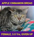 APPLE CINNAMON BREAD